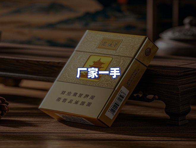 专业团队